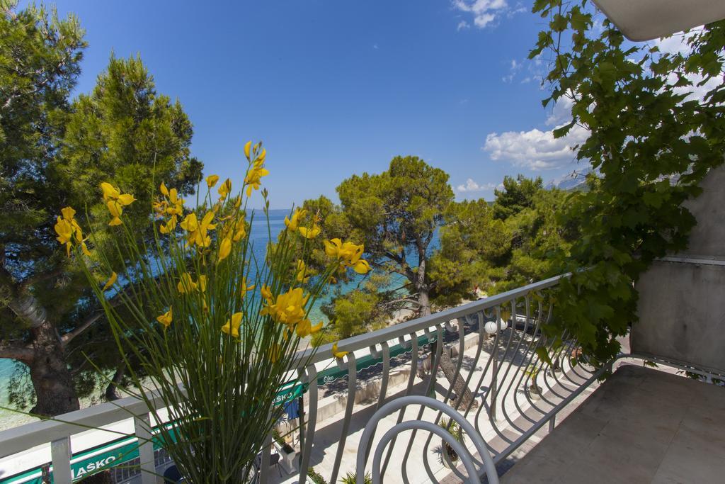 Apartment Ankora